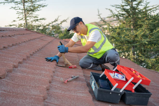 Professional Roofing Contractor in Greenwood, MS
