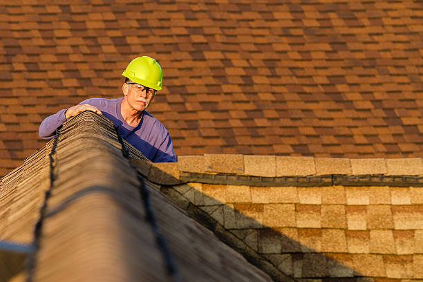 Best Roof Maintenance Services  in Greenwood, MS